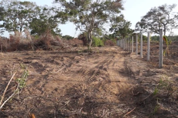 காடழிப்பு, சட்டவிரோத மணல் அகழ்வு தொடர்பில் பொலிஸில் முறைப்பாடு