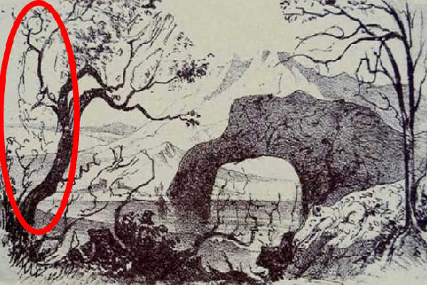 5 வினாடிகளில் மறைந்திருக்கும் மனிதனைக் கண்டுபிடிக்க முடியுமா? | Test Your Iq Find The Hidden Man In 5 Seconds