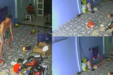 வீட்டு முற்றத்தில் விளையாடிய குழந்தை! அருகில் வந்து கொண்டிருந்த ராஜநாகம்... நொடி பொழுதில் தந்தை செய்த செயலின் திக் திக் வீடியோ