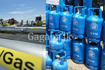 ලිට්රෝ ගෑස් සැපයීම ගැන විශේෂ තීන්දුවක්. - එයට කැබිනට් අනුමැතිය හිමි වුණේ මෙහෙමයි.