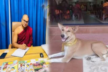 கதிர்காம பாதயாத்திரை நாய் குறித்து சமூக ஊடக சர்ச்சை ; மத நல்லிணக்கத்தை வலியுறுத்திய ராகுல தேரர்