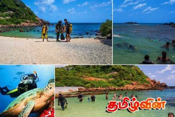 அதிகரித்துள்ள சுற்றுலாப் பயணிகளின் வருகை