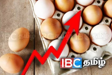 சடுதியாக அதிகரித்த முட்டை விலை: குற்றம் சுமத்தும் நுகர்வோர்!