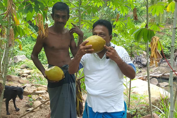 வெற்றியின் விளிம்பில் டலஸ்;  வேலையை காட்டுவாரா ரணில்! கசிந்த தகவல் | Dulles Brink Victory Ranil Will Show Work