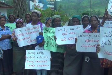 ஹட்டன் - குயில்வத்தை பகுதியில் வீதிக்கு இறங்கிய மக்கள் (Photos)