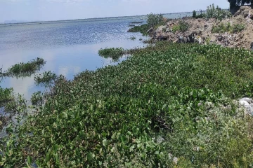 தமிழர்பகுதி வாவியில் மிதந்த மர்ம உடல்கள் ; கொலையா? தற்கொலையா?