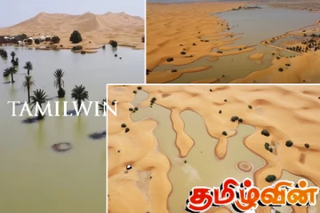 கனமழையால் வெள்ளத்தில் மூழ்கிய சஹாரா பாலைவனம்