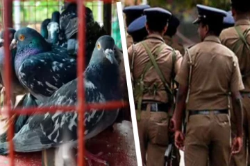 யாழில் பொலிஸார் பயத்தில் அரங்கேறிய சம்பவம்; பறிபோன பல உயிர்கள்