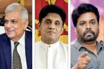 ஜனாதிபதி தேர்தலில் மும்முனைப் போட்டி : ரணிலின் வெற்றியை தடுக்கவே முடியாது - நவீன்