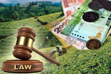 தோட்டத் தொழிலாளர்களின் சம்பள அதிகரிப்பு: நீதிமன்றில் பரிசீலிக்கப்பட்ட மனு