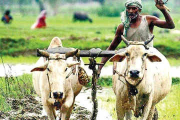 விவசாயிகளுக்கான மகிழ்ச்சி செய்தி