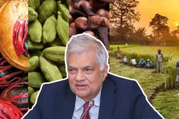 விவசாயிகளுக்கு ரணில் வெளியிட்ட மகிழ்ச்சி தகவல்