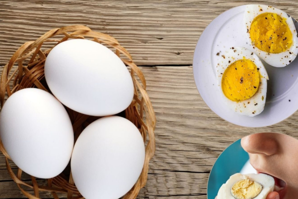 தொடர்ந்து 2 வாரம் முட்டை சாப்பிடுவதால் உடலுக்குள் என்னென்ன அற்புதங்கள் நடக்கும் தெரியுமா? | The Miracles That Come From Eating Eggs For Body தொடர்ந்து 2 வாரம் முட்டை சாப்பிடுவதால் உடலுக்குள் என்னென்ன அற்புதங்கள் நடக்கும் தெரியுமா? | The Miracles That Come From Eating Eggs For Body