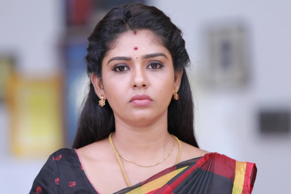 பாண்டியன் ஸ்டோர்ஸ் 2 நடிகை ஹேமா ராஜ்குமாரின் கணவரை பார்த்துள்ளீர்களா? இதோ புகைப்படம் | Pandian Stores 2 Serial Hema Rajkumar Husband