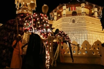 මහනුවර ඇසළ පෙරහැරේ විදුලි බිලට කුමක් වෙයි ද?.