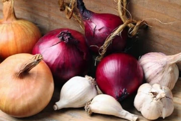 பூண்டு, வெங்காயம் விலை சரமாரி உயர்வு; அடேங்கப்பா.. கிலோ இவ்வளவா?