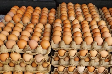 බිත්තර සඳහා නව පාලන මිලක් නියම කෙරේ..