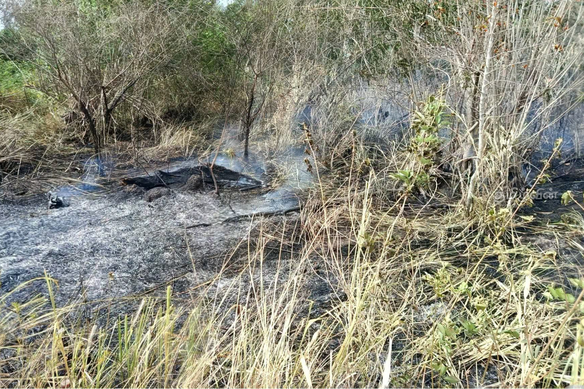 வவுனியா - பாவற்குளம் காட்டுப் பகுதியில் திடீர் தீப்பரவல் | Sudden Fire In Vavuniya Pavakulam Forest Area வவுனியா - பாவற்குளம் காட்டுப் பகுதியில் திடீர் தீப்பரவல் | Sudden Fire In Vavuniya Pavakulam Forest Area