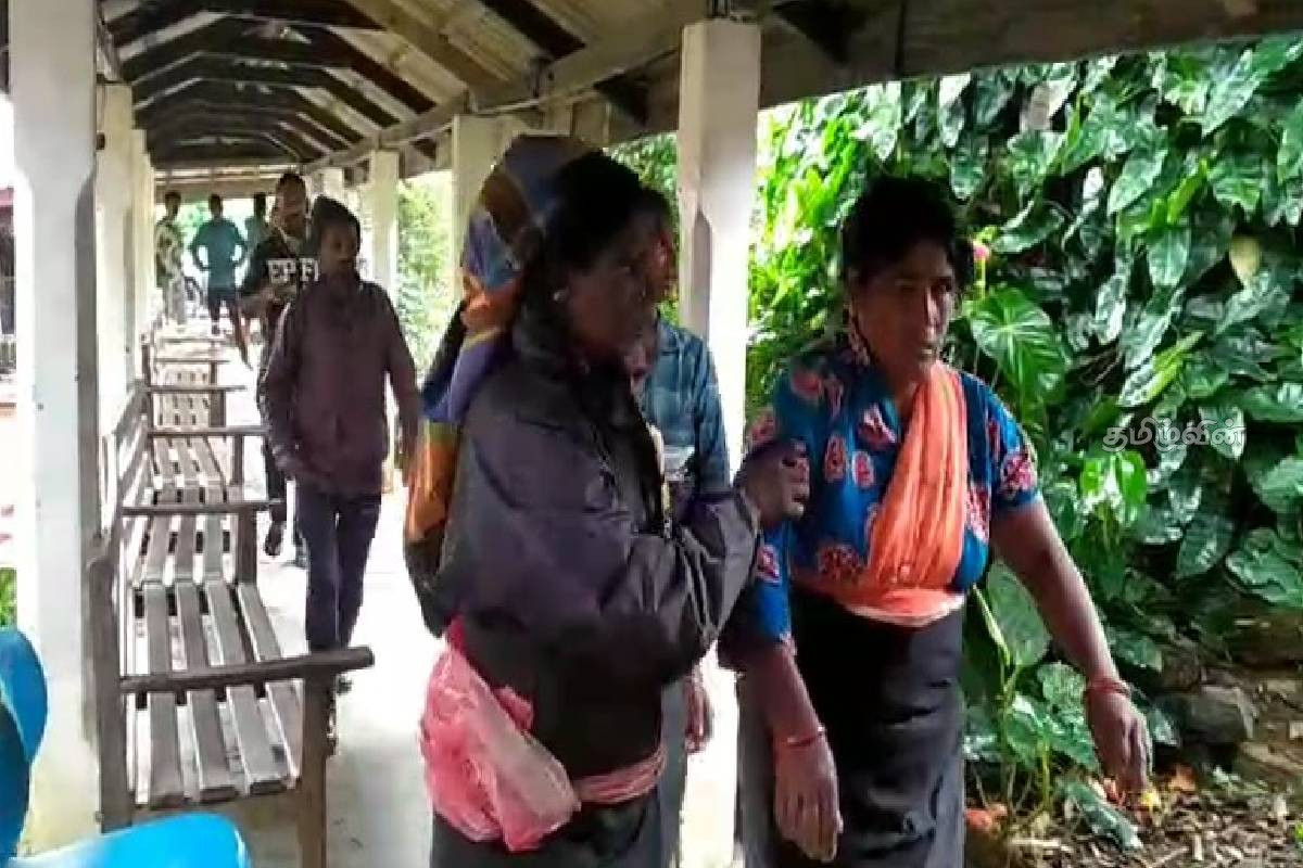எதிர்பாராத குளவித் தாக்குதல்! 5 பெண்கள் வைத்தியசாலையில் அனுமதி | 5 Women Admitted To Hospital