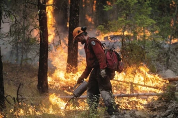 கூட்டமாக வெளியேற்றப்படும் மக்கள்... காட்டுத்தீயால் தொடரும் சோகம்