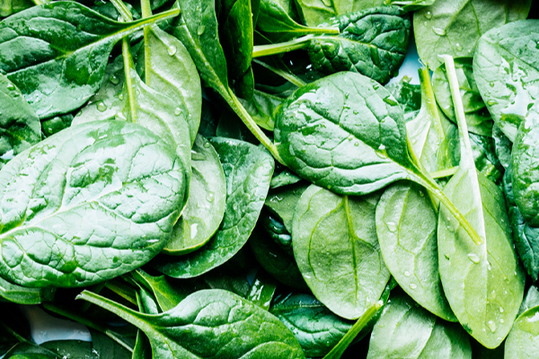 தினமும் கீரை சாப்பிட்டால் இவ்வளவு பக்கவிளைவுகளா? யாரெல்லாம் தொடக் கூட கூடாது தெரியுமா? | Food Know The Side Effects Of Eating Excessive