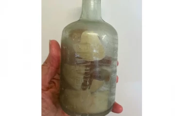 நூறு ஆண்டுகளின் பின்னர் கடற்கரையில் கண்டெடுக்கப்பட்ட அதிசயம்!