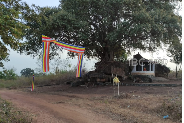 மயிலத்தமடு பகுதியில் மீண்டும் உருவெடுத்த புத்த பெருமான் | Lord Buddha Mayilathaamadu Area