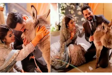 மணமகளுக்கு கழுதைக்குட்டியை பரிசளித்த மணமகன்! என்ன காரணம் தெரியுமா?