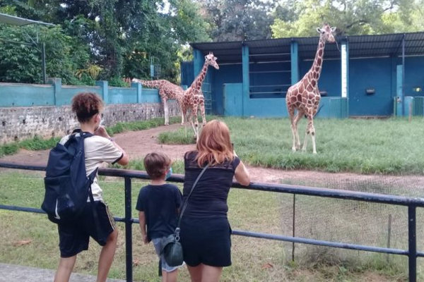 dehiwala zoo