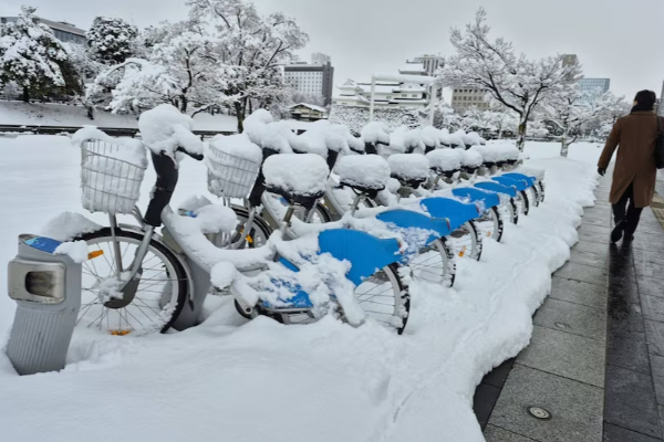 உலகின் பனிப்பொழிவின் தலைநகரம் என்று அழைக்கப்படும் இடம்.., எது தெரியுமா? | Which Country Is The Snowfall Capital Of The World