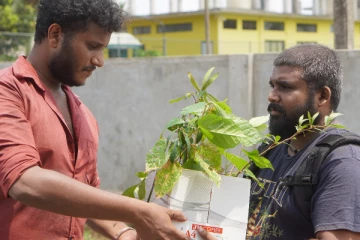 சின்னக் கலைவாணர் விவேக்கின் நினைவாக யாழில் மர நடுகை!