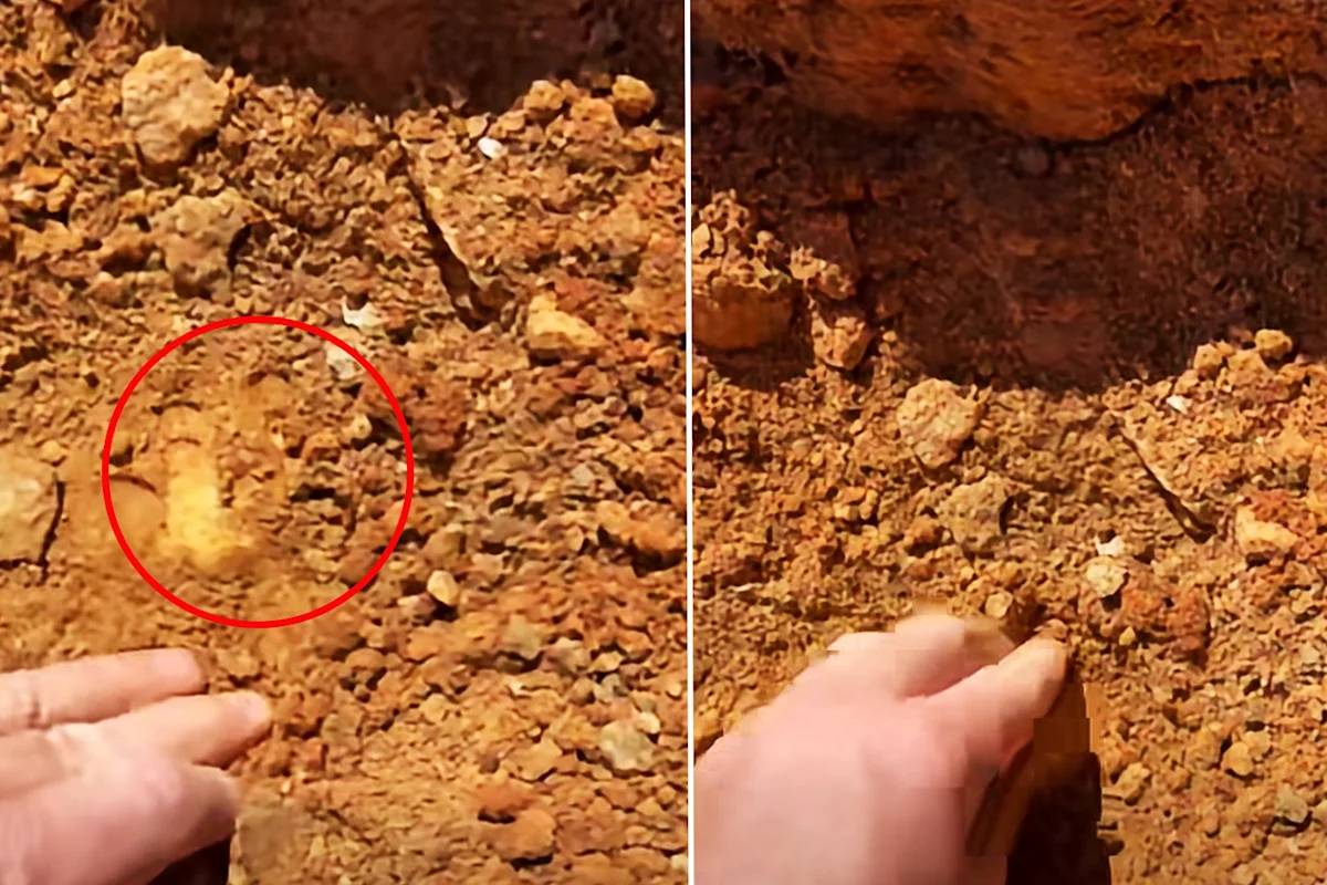 நிலத்தை தோண்டும் போது கிடைத்த 1.2 கிலோ தங்கம் | Australia Man Unearths 1 2 Kg Gold Nugget