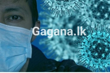 Covid -19 යේ මූලාරම්භය ගැන අලුත්ම පුවත..