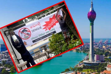 இலங்கையை அச்சுறுத்தும் டெங்கு ; கொழும்பில் 12,000ஐ தாண்டிய தொற்று!