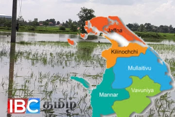 நிலவும் சீரற்ற காலநிலை : வடக்கில் பேரழிவை சந்தித்த நெற்செய்கை