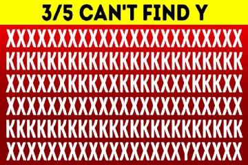 Optical illusion: இந்த படத்தில் இருவகையான ஆங்கில எழுத்துக்களில் "Y" எங்கே உள்ளது?