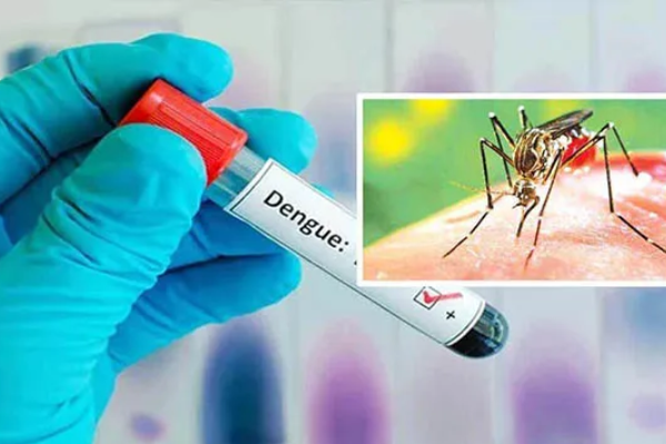 டெங்கு காய்ச்சல் பரவும் வேகம் அதிகரிப்பு | Increasing Speed Of Dengue Fever Spread
