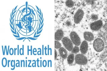 தன்பாலின ஈர்ப்பாளர்களை அதிகளவில் தாக்குகிறதா குரங்கு அம்மை ? - உலக சுகாதார நிறுவன ஆய்வு முடிவுகள் சொல்வது என்ன?