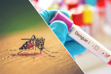 டெங்கு நோயாளர்களின் எண்ணிக்கை அதிகரிப்பு ; உயரும் பலி எண்ணி்க்கை