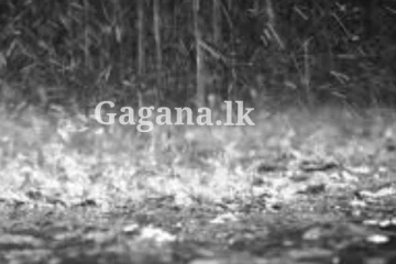 ඉදිරි දිනයන් තීරණාත්මකයි - අවදානම් තත්ත්වයක් ගැන කලින්ම දැනුම්දීමක් මෙන්න.