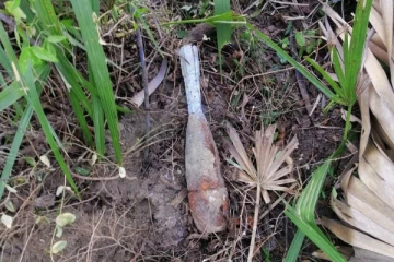 சுழிபுரம் பகுதியில் மோட்டார் செல்