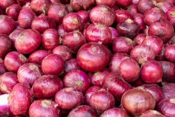 வெங்காய உற்பத்தியும் சரிவு!