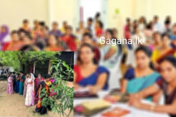 ගුරුවරුන්ට මේ දේවල් දෙන්න එපා..දරුවන්ගේ දෙමාපියන්ට විශේෂ දැනුම්දීමක්..