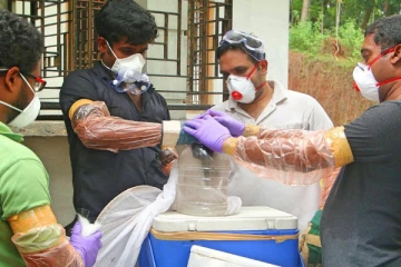 கேரளாவை அச்சுருத்தும் நிபா வைரஸ்- 12 வயது சிறுவன் பலி