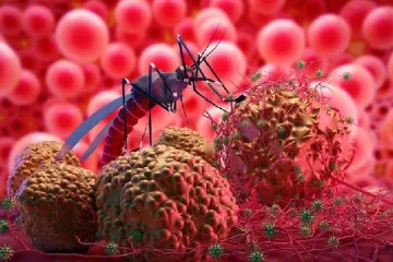 மக்களே உஷார்...வேகமாக பரவும் டெங்கு காய்ச்சல் - சுகாதாரத்துறையின் முக்கிய எச்சரிக்கை !