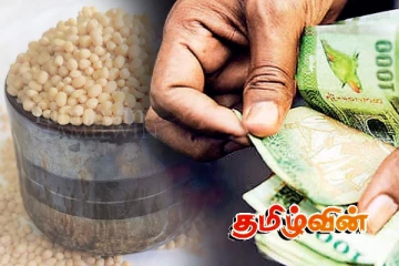 வவுனியாவில் அறுவடை செய்யப்படும் உளுந்துக்கு வழங்கப்படும் விலை குறித்து முன்வைக்கப்பட்டுள்ள குற்றச்சாட்டு