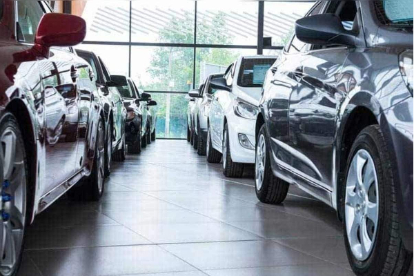 திடீரென நிறுத்தப்பட்ட ஏல விற்பனை! சர்ச்சையில் பிரபு ஒருவரின் மகன் - ஐபிசி தமிழ்