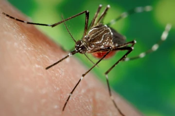 நாட்டில் 36 சுகாதார வைத்திய அதிகாரிப் பிரிவுகள் அதிக ஆபத்துள்ள பகுதிகளாக அறிவிப்பு