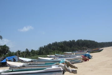 மீன்களை விற்பனை செய்ய முடியாமல் திண்டாடும் வியாபாரிகள்