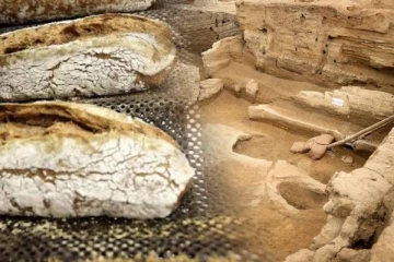 உலகிலேயே மிகப் பழமையான பாண் துண்டு கண்டுபிடிப்பு: பண்டைய உணவு பாரம்பரியத்தின் தடயம்